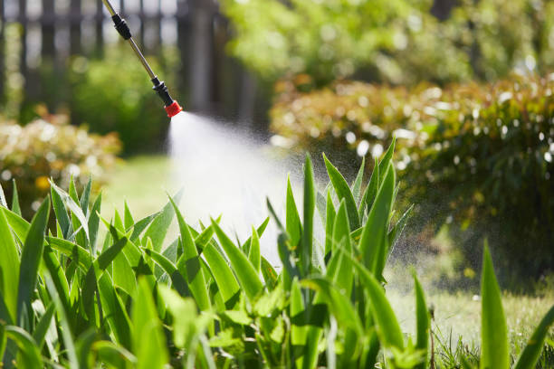 24/7 Emergency Mosquito Control experts in Le Sueur, MN